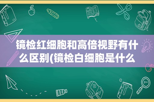 镜检红细胞和高倍视野有什么区别(镜检白细胞是什么意思)