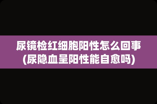 尿镜检红细胞阳性怎么回事(尿隐血呈阳性能自愈吗)