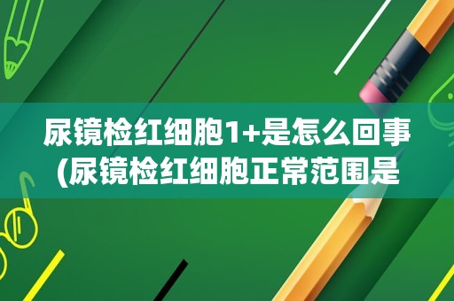 尿镜检红细胞1+是怎么回事(尿镜检红细胞正常范围是多少)