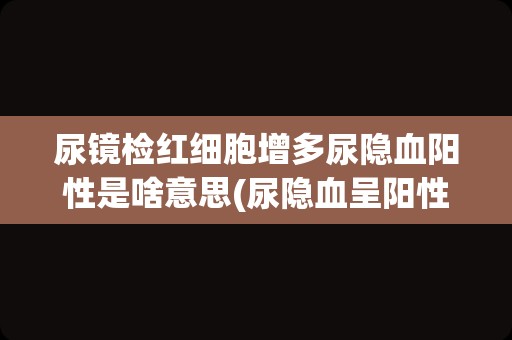 尿镜检红细胞增多尿隐血阳性是啥意思(尿隐血呈阳性能自愈吗)