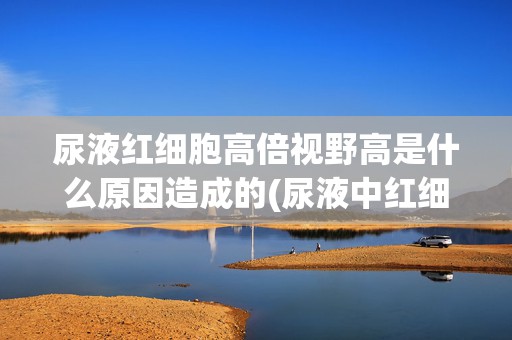 尿液红细胞高倍视野高是什么原因造成的(尿液中红细胞高是怎么回事)