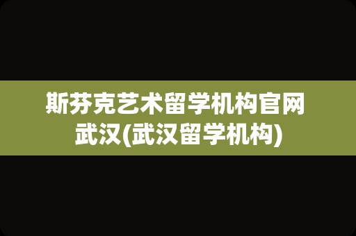 斯芬克艺术留学机构官网 武汉(武汉留学机构)