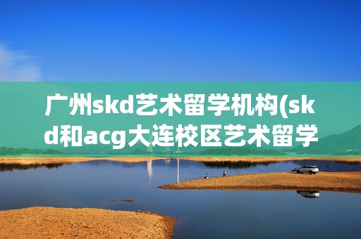 广州skd艺术留学机构(skd和acg大连校区艺术留学)