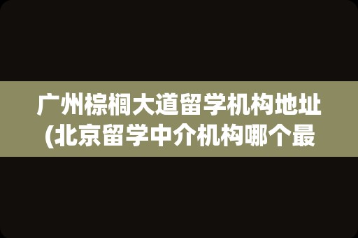 广州棕榈大道留学机构地址(北京留学中介机构哪个最好)