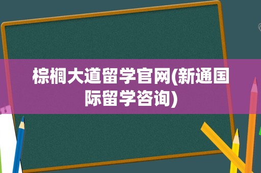 棕榈大道留学官网(新通国际留学咨询)